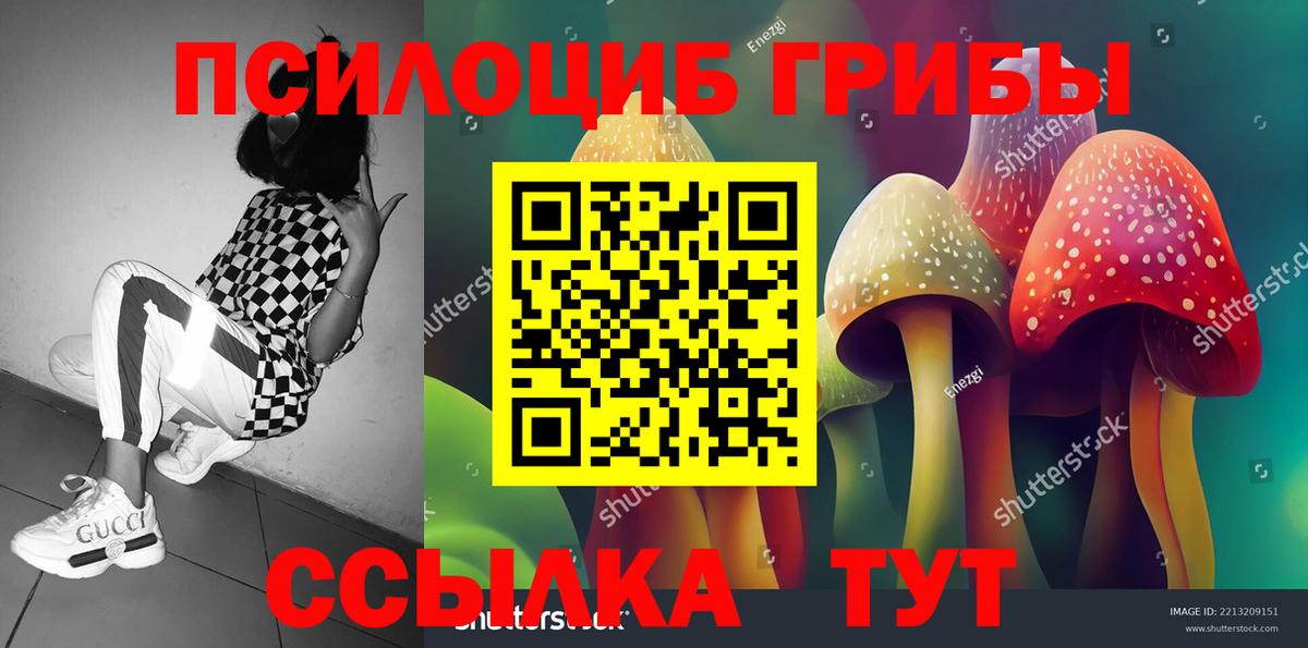 Галлюциногенные грибы Magic Shrooms Таганрог